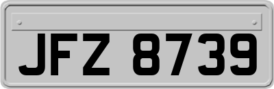 JFZ8739