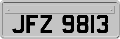 JFZ9813