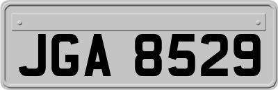 JGA8529