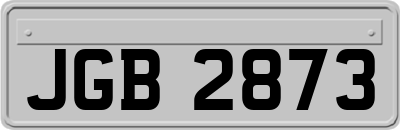JGB2873