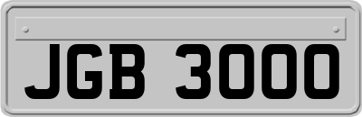 JGB3000
