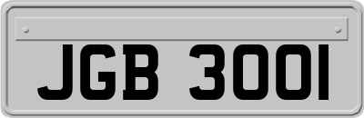 JGB3001