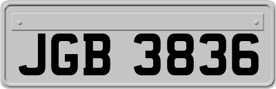JGB3836