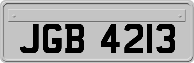 JGB4213