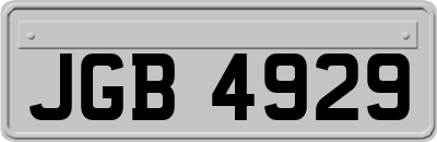 JGB4929