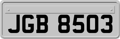 JGB8503