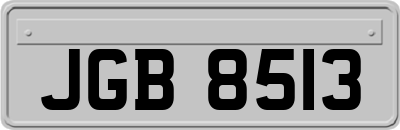 JGB8513