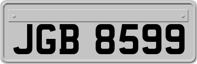 JGB8599