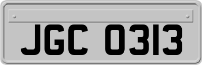 JGC0313