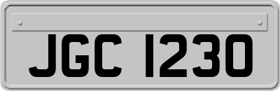 JGC1230