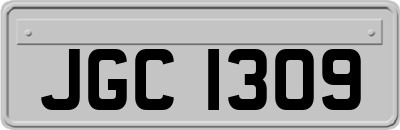 JGC1309