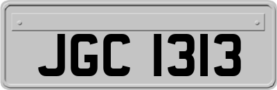 JGC1313