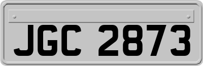 JGC2873