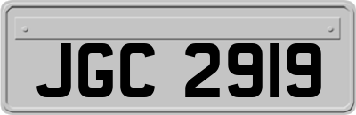 JGC2919