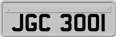 JGC3001