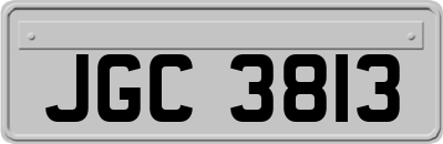 JGC3813