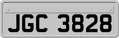 JGC3828