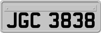 JGC3838