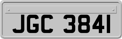 JGC3841