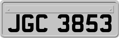 JGC3853