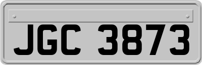 JGC3873
