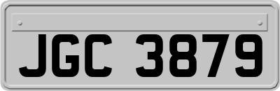 JGC3879