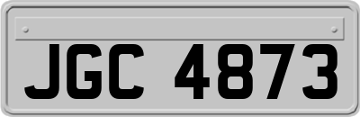 JGC4873