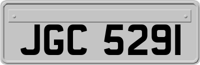 JGC5291