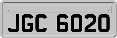 JGC6020
