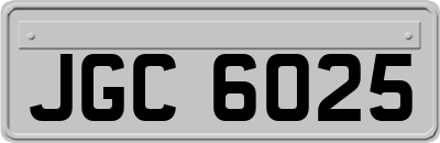 JGC6025