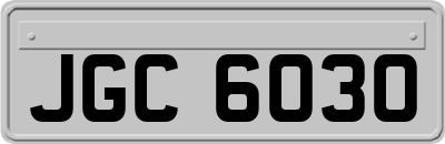 JGC6030