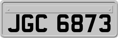 JGC6873