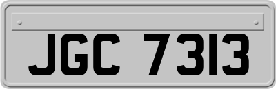 JGC7313