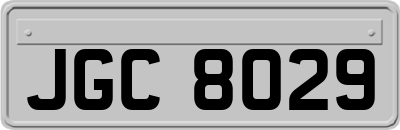 JGC8029