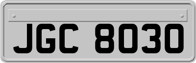 JGC8030