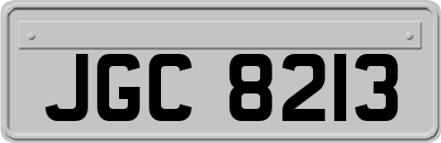 JGC8213