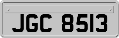 JGC8513