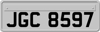 JGC8597