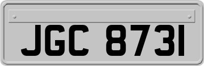 JGC8731