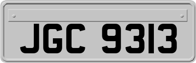 JGC9313