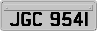JGC9541