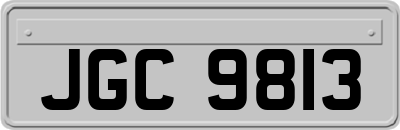 JGC9813