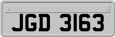 JGD3163