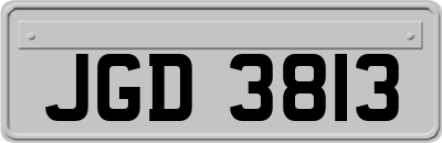 JGD3813