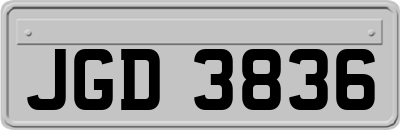 JGD3836