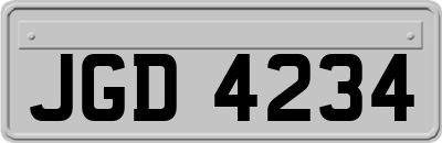 JGD4234