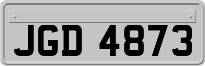 JGD4873
