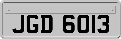 JGD6013
