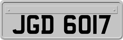 JGD6017