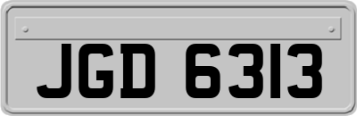 JGD6313